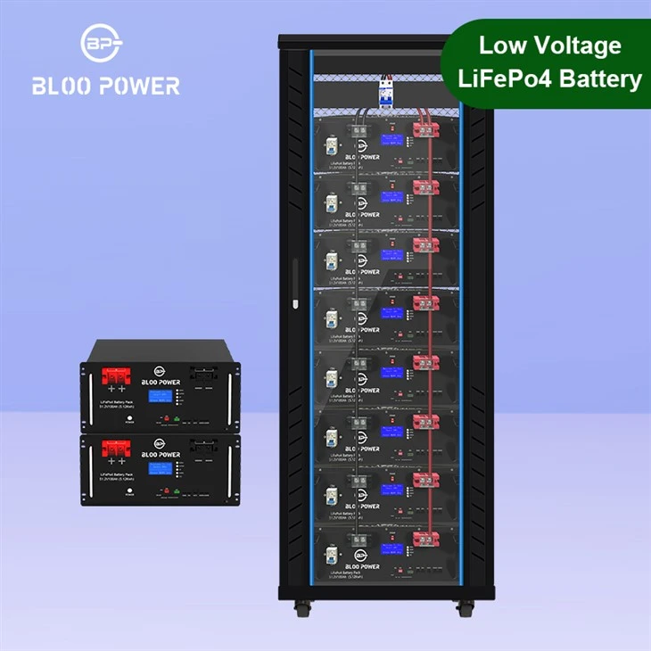 Floor Mount 51.2V LiFePO4 Battery Rack
